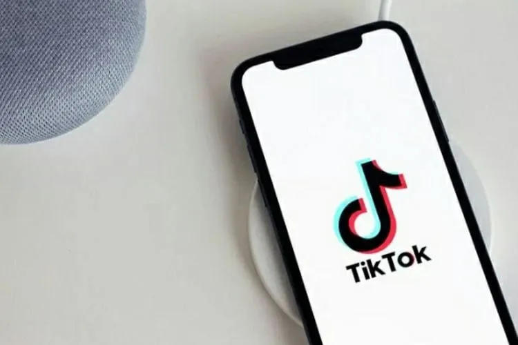 Fenomena Viral: MP3 Alarm Sahur Mimi Peri dan Teriakan Bapak-bapak di TikTok
