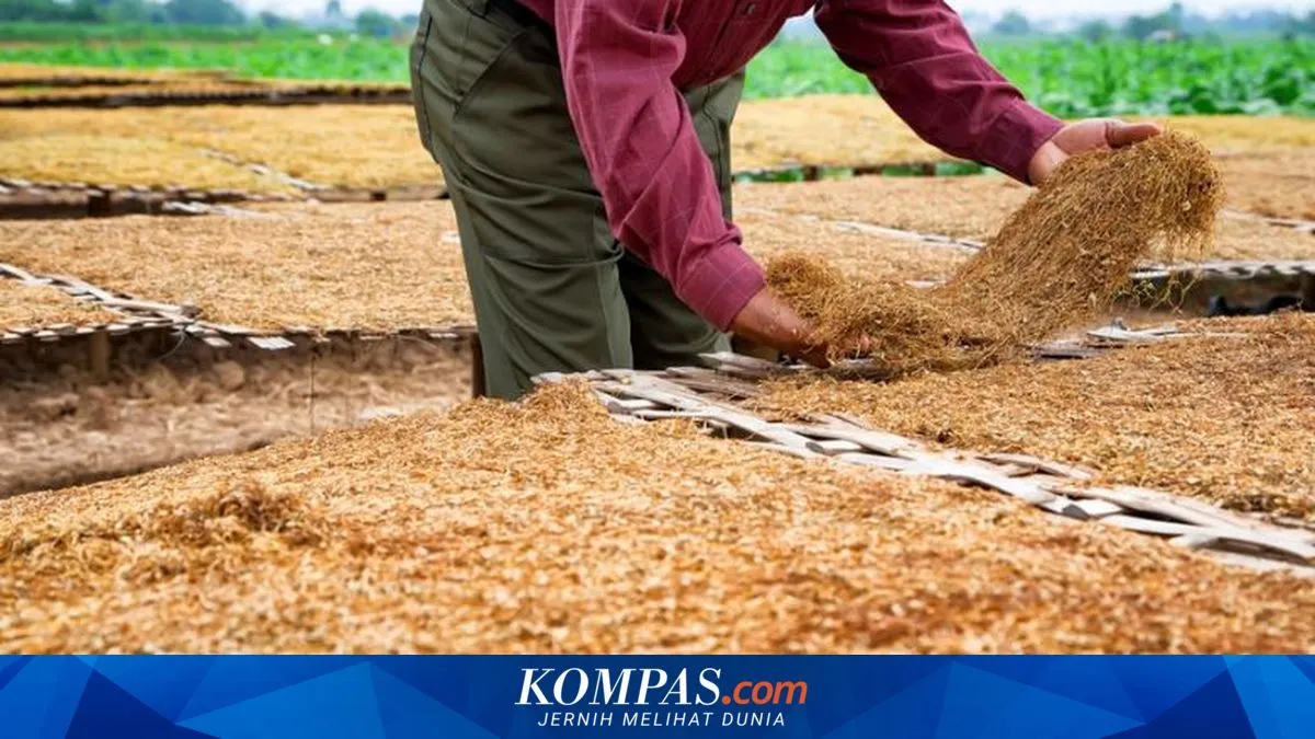 Peran Strategis IHT dan HMSP dalam Perekonomian Indonesia