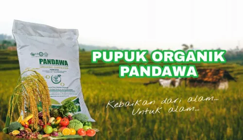 Fajar Gumelar: Produsen Pupuk Organik yang Ciptakan Lapangan Kerja di Ciamis