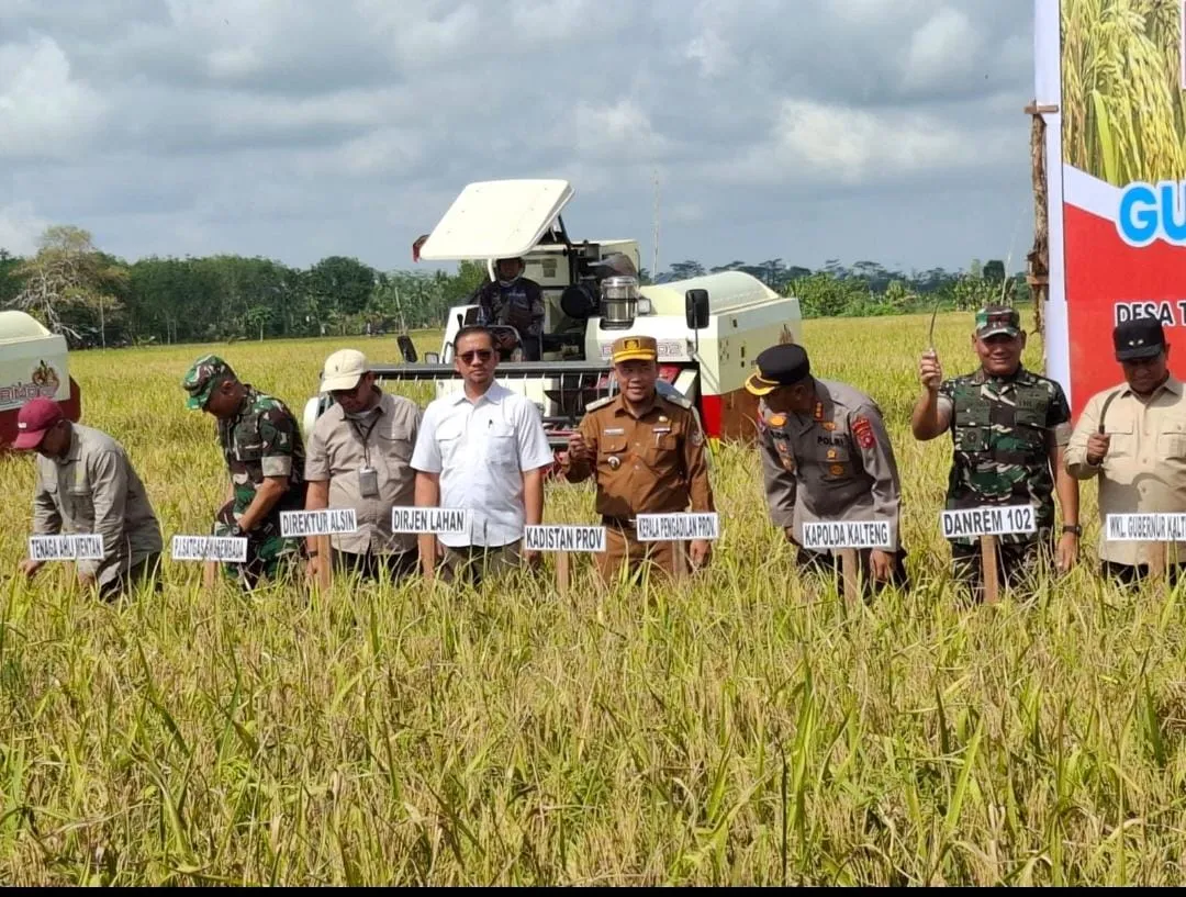 Pemanfaatan Teknologi Modern Tingkatkan Produktivitas Panen Padi di Lahan Pasang Surut