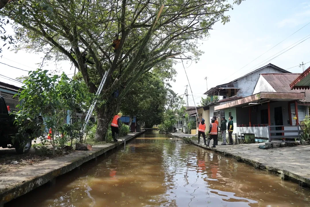 Pemerintah Kota Pontianak Responsif Terhadap Aduan Perawatan Pohon