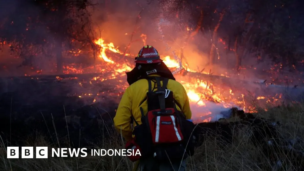 Kebakaran Hutan di California Tewaskan 40 Orang dan Hancurkan Ribuan Rumah
