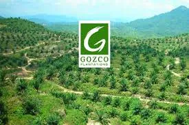 Gozco Capital Naikkan Kepemilikan Saham Bank Neo Commerce Jadi 10,53%