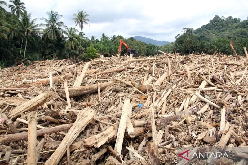 KLH Selidiki Faktor Penyebab Banjir dan Sumber Kayu di Sumatera