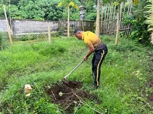 Polsek Banjarangkan Laksanakan Perawatan Kebun P3L untuk Dukung Ketahanan Pangan