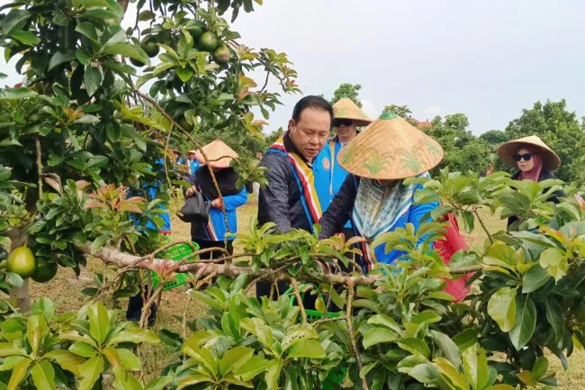 Situbondo Jalin Kerja Sama Investasi dengan Brunei Darussalam di Sektor Pertanian dan Pariwisata
