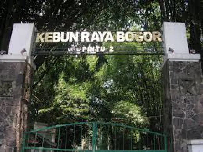 Mayat Perempuan Tanpa Identitas Ditemukan Mengapung di Sungai Ciliwung Kawasan Kebun Raya Bogor