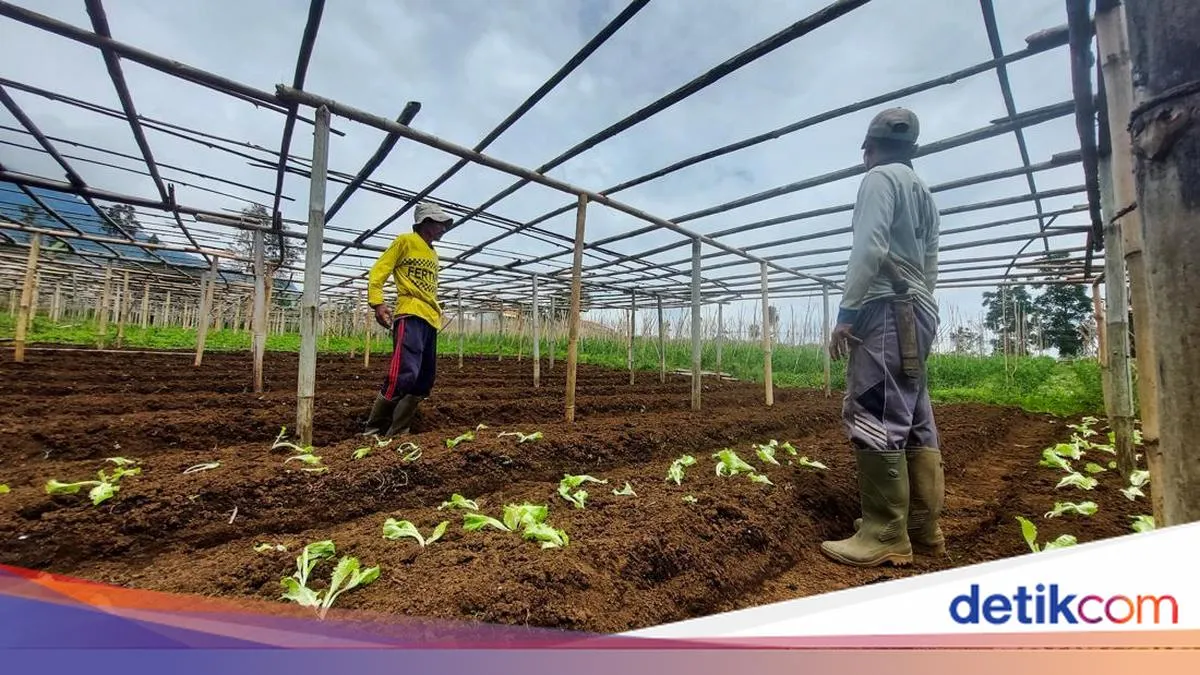 Longsor Cisarua Bandung Barat Rusak Rumah dan Kebun, Petani Kehilangan Penghasilan