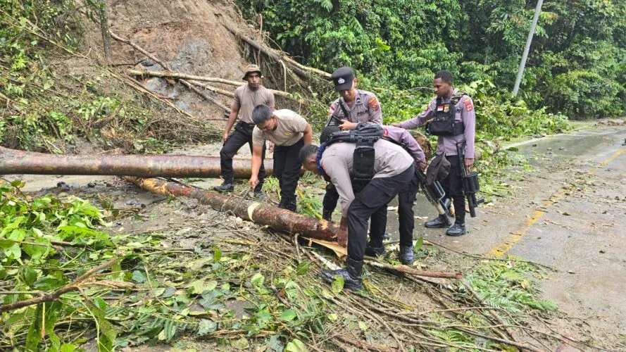 Akses Jalan Utama di KM 76 Waris Keerom Terputus Akibat Longsor Selama Enam Jam