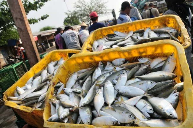Harga Ikan Segar dan Sayur di Pasar Tradisional Baubau Naik