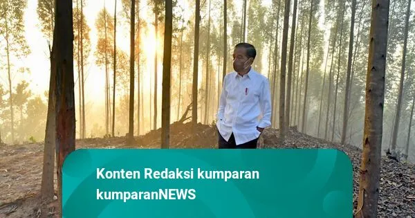 Pemindahan Ibu Kota Negara: Jokowi Tekankan Pentingnya Keadilan Sosial dan Pembangunan Berbasis Indonesia Sentris