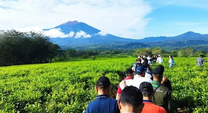 Festival Teh dan Kopi Sarantau Sasurambi: Meningkatkan Pariwisata di Solok Selatan