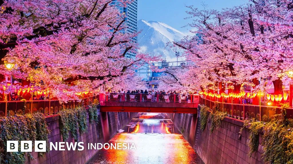 Kota Fujiyoshida di Jepang Batalkan Festival Sakura akibat Overtourism dan Ulah Wisatawan