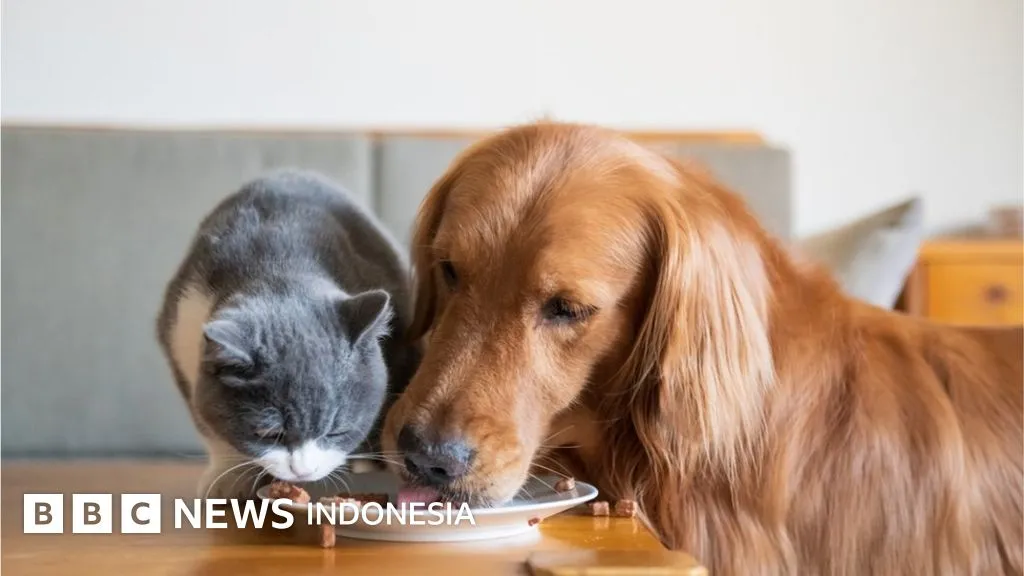 Dampak Lingkungan dari Hewan Peliharaan: Anjing dan Kucing dalam Sorotan