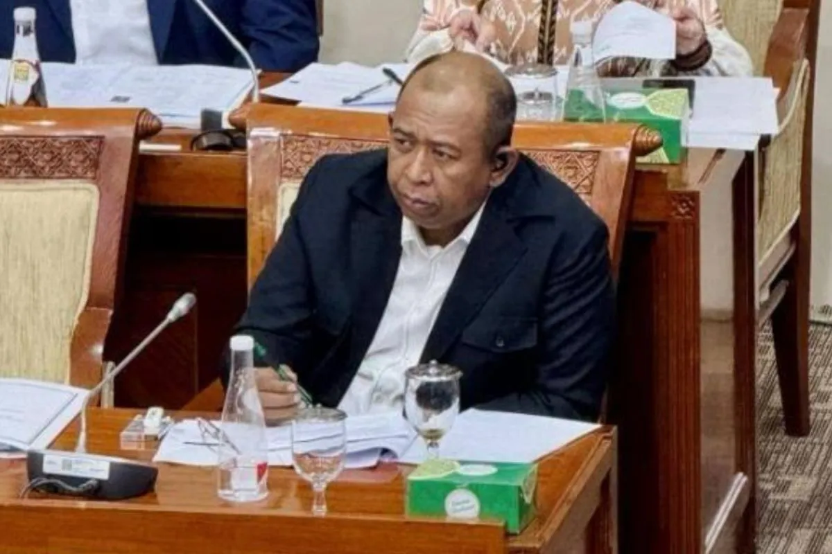 DPR Ingatkan Pentingnya Kebangsaan di Tengah Fenomena Budaya Pop One Piece