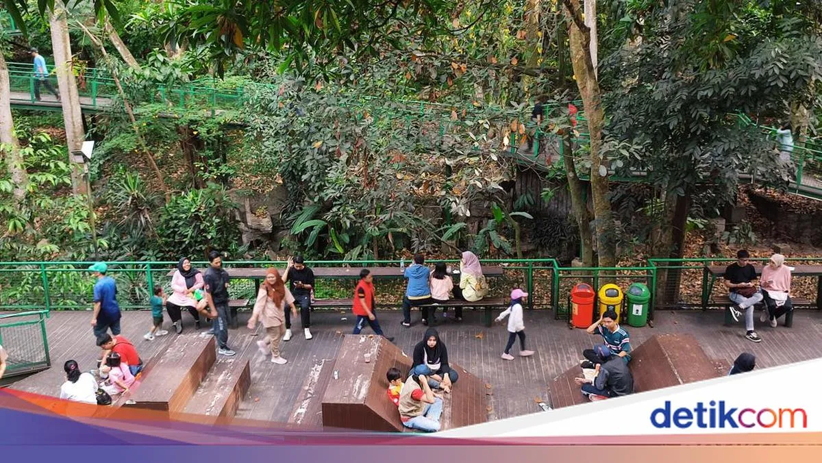 Renovasi Hutan Kota Babakan Siliwangi: Harapan Warga untuk Kenyamanan dan Daya Tarik