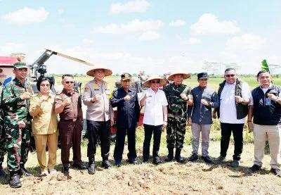 Gubernur Agustiar Sabran Pimpin Panen Raya Padi Serentak di Pulang Pisau