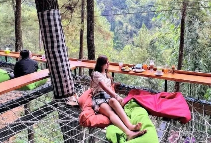 Cafe Rumah Bunga Pasuruan: Destinasi Kuliner Menarik di Tengah Hutan Pinus