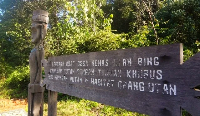 Hutan Lindung Wehea di Kutai Timur, Habitat Beragam Flora dan Fauna