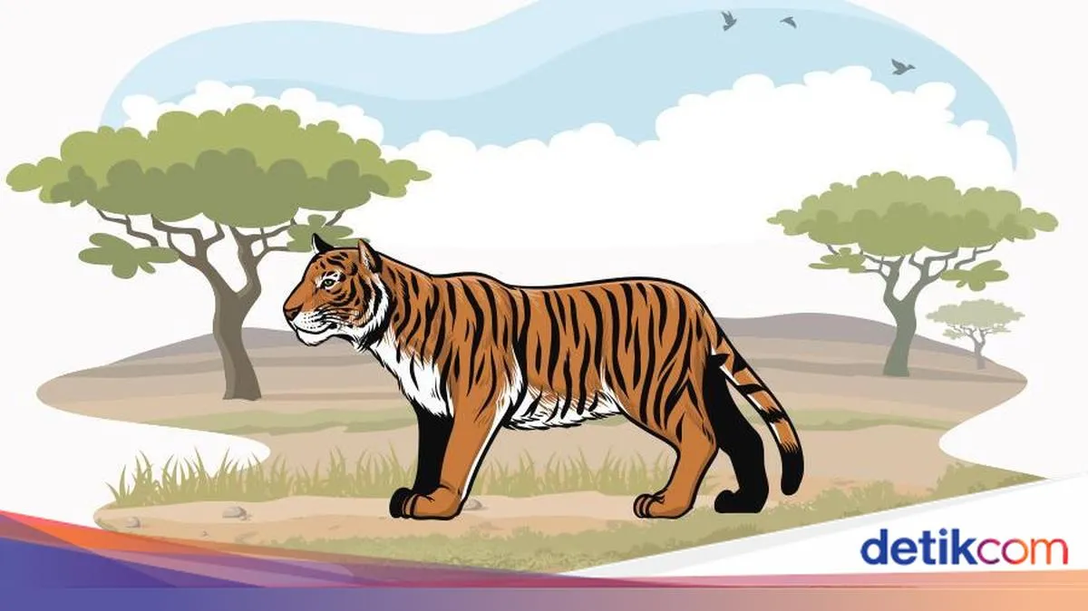 Pemuda di Jambi Tewas Diterkam Harimau Saat Mencari Sinyal Ponsel