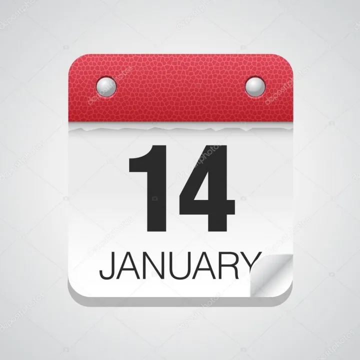Perayaan Hari Logika Sedunia dan Hari Layang-layang Internasional pada Tanggal 14 Januari