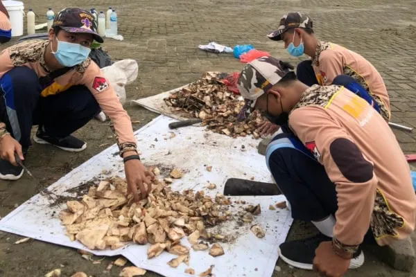 Pramuka SMAN 1 Randublatung Inovasi Pupuk Organik Cair dari Bonggol Pisang