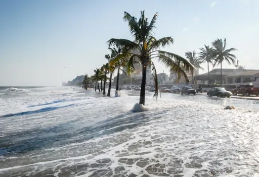 Studi: Pemanasan 1,5°C Picu Kenaikan Muka Laut Tak Terkendali dan Migrasi Daratan Besar