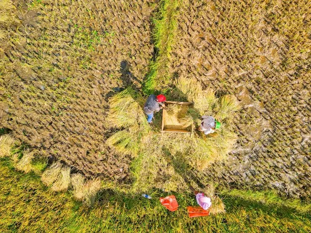 Inovasi Digital Dukung Ketahanan Pangan di Tengah Krisis Global