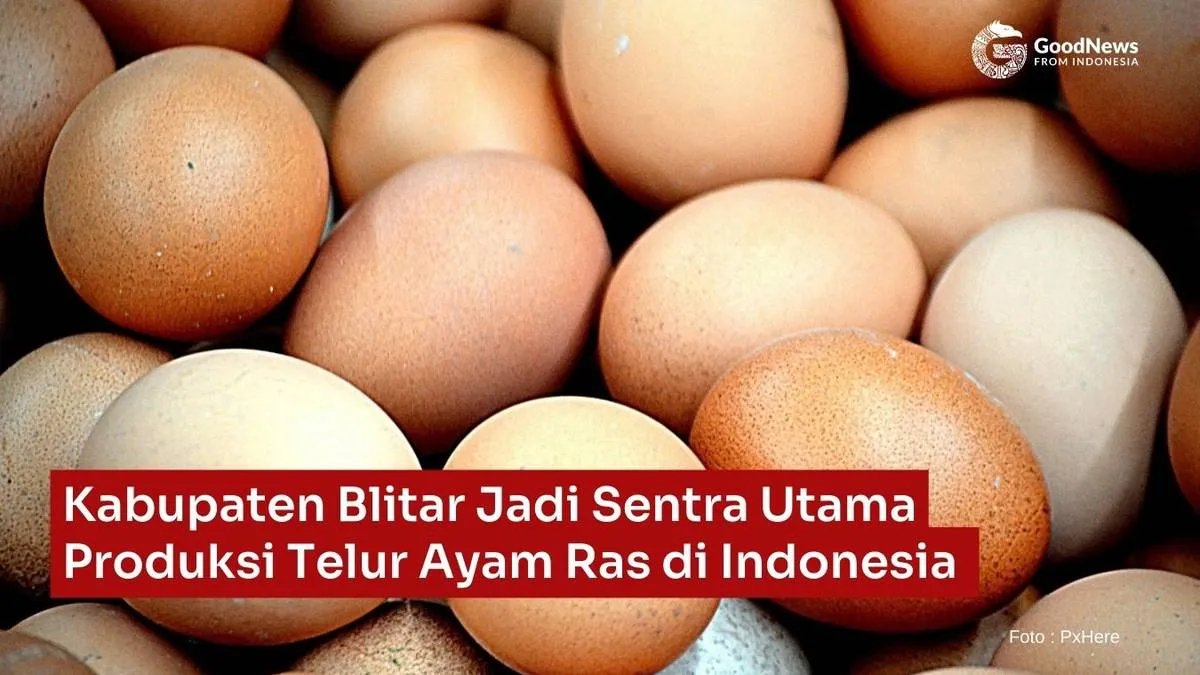 Blitar: Pusat Produksi Telur Ayam Ras Terbesar di Indonesia