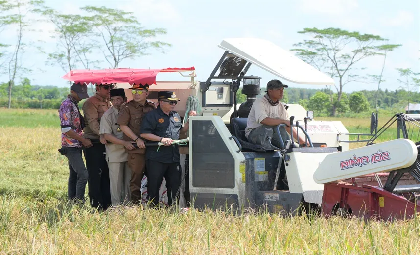 Bupati Barito Selatan Targetkan Surplus Padi Melalui Panen Raya
