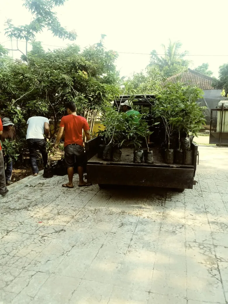 Lampung Timur: Sentra Pembibitan Tanaman Buah dan Hias di Provinsi Lampung