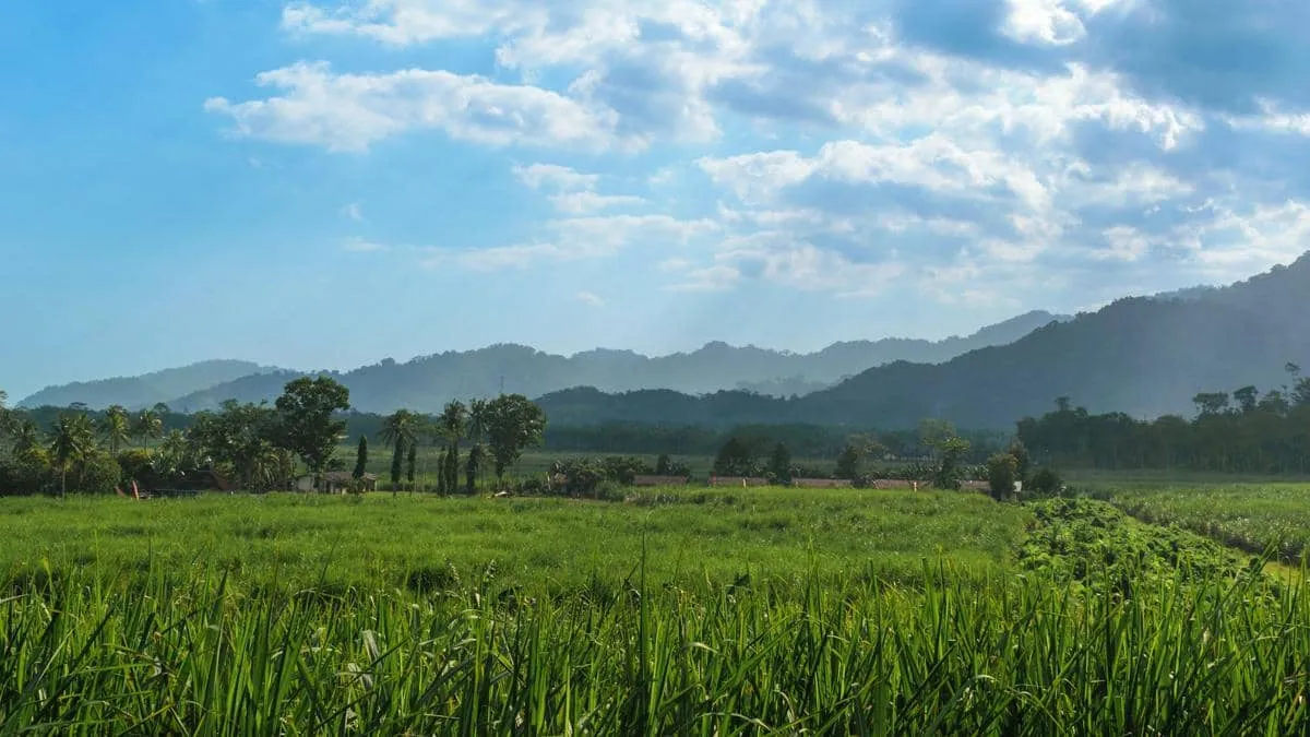 7 Tempat Ngabuburit Menarik di Pasuruan Selama Ramadan