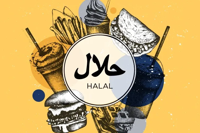 Peran Pendidikan Tinggi dalam Meningkatkan Kinerja Startup Halal di Indonesia
