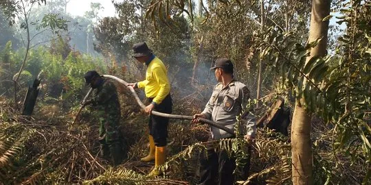 Kebakaran dan Kanal Penyebab Utama Kerusakan Lahan Gambut di Indonesia