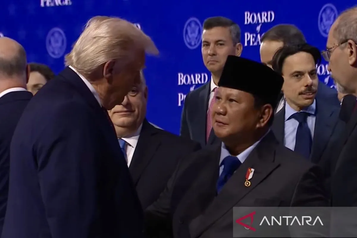 Dewan Perdamaian Dorong Jalan Menuju Kemerdekaan Palestina