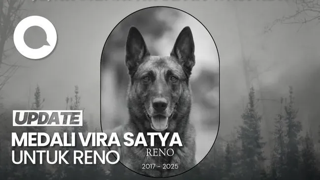 Anjing K9 Reno Terima Penghargaan atas Dedikasi dalam Misi Kemanusiaan