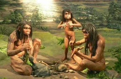 Penemuan Fosil Manusia Purba Tertua di NTT