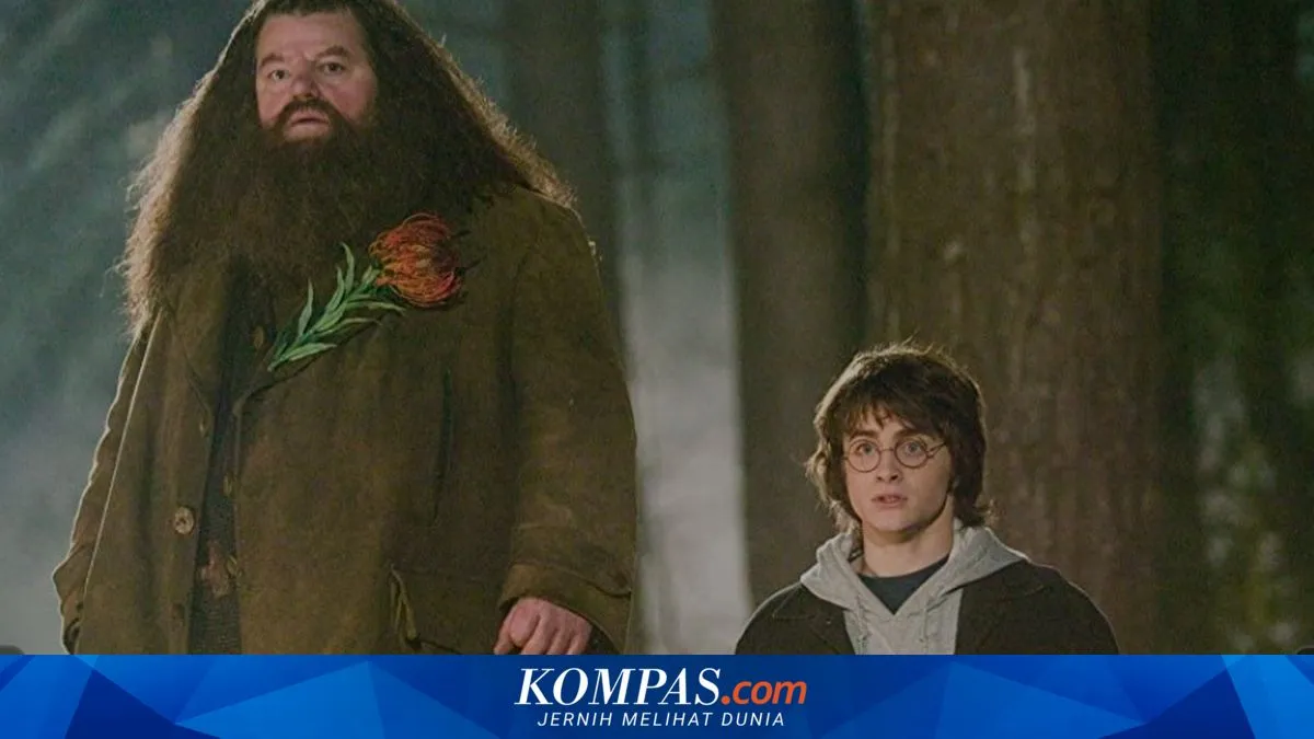Kutipan Inspiratif dari Harry Potter yang Menggugah Semangat
