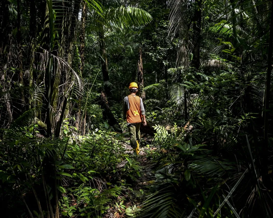 Perhutanan Sosial: Meningkatkan Kesejahteraan dan Pelestarian Hutan di Indonesia
