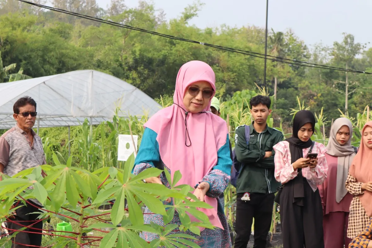 UMY: Urban Farming Manfaatkan Lahan Sempit Kota untuk Perkuat Kemandirian Pangan
