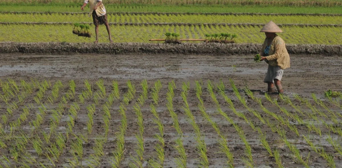 Reforma Agraria Tersendat oleh Logika Sektoral, Dominasi Korporasi, dan Minim Transparansi HGU