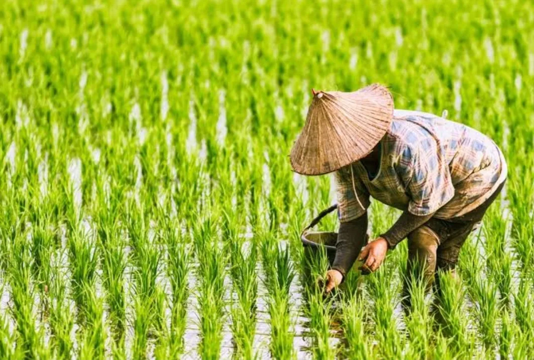 Pengangguran Turun, Tantangan Pekerjaan Layak Masih Menghadang