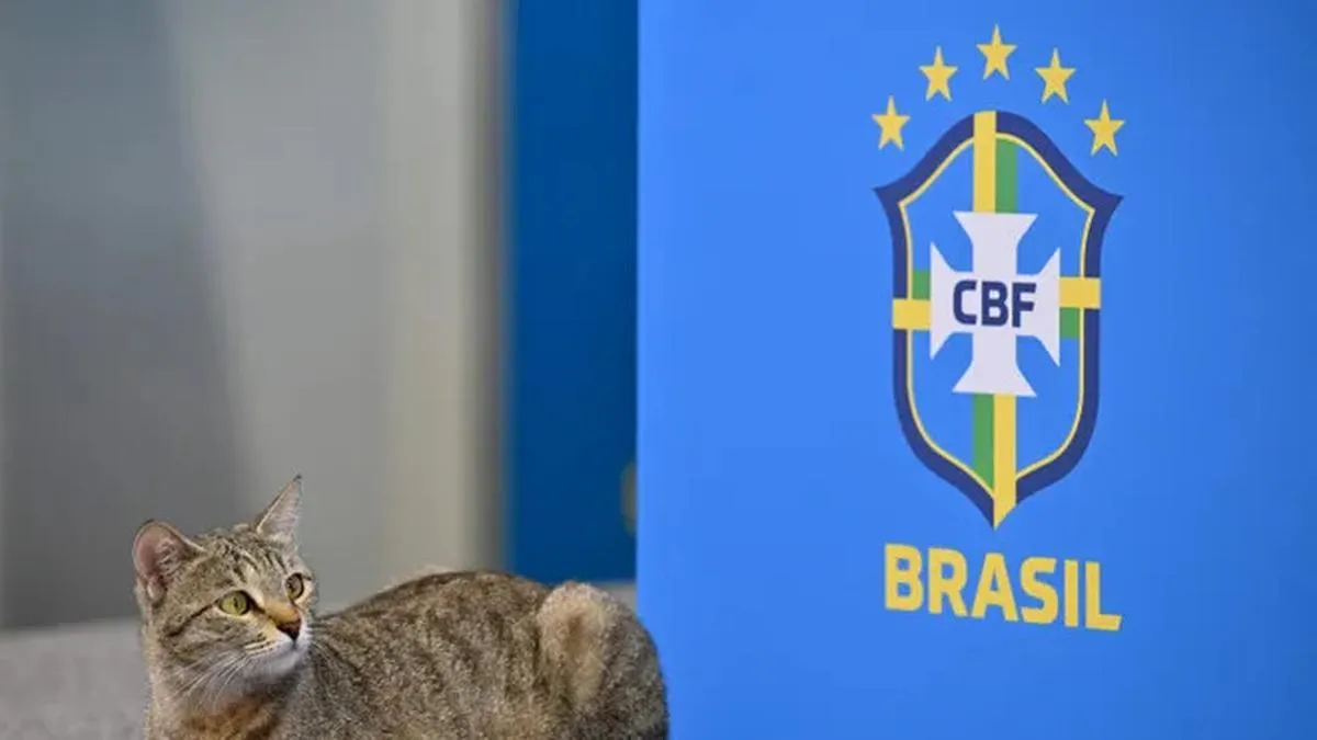 Kucing Menghiasi Konferensi Pers Vinicius Junior Menjelang Pertandingan Brasil vs Kroasia