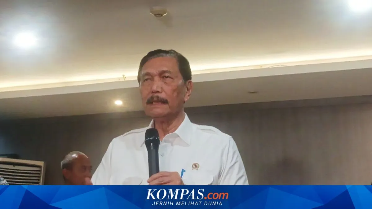 Luhut Tanggapi Kritikan Terkait Status IMIP di Morowali