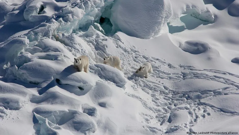 Ketegangan Geopolitik Mengancam Penelitian Ilmiah di Arktika dan Greenland