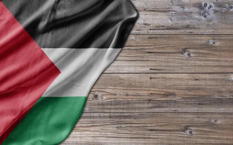 Selebritas Dunia Gelar Konser Penggalangan Dana untuk Palestina