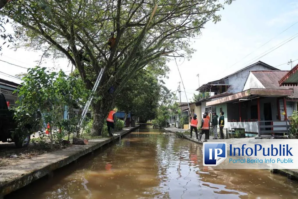 Dinas PUPR Pontianak Respons Cepat Aduan Warga Terkait Perawatan Pohon