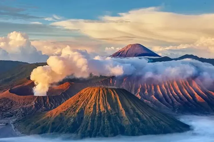 Keanekaragaman Flora dan Fauna Lereng Gunung Semeru, Penopang Ekosistem TNBTS
