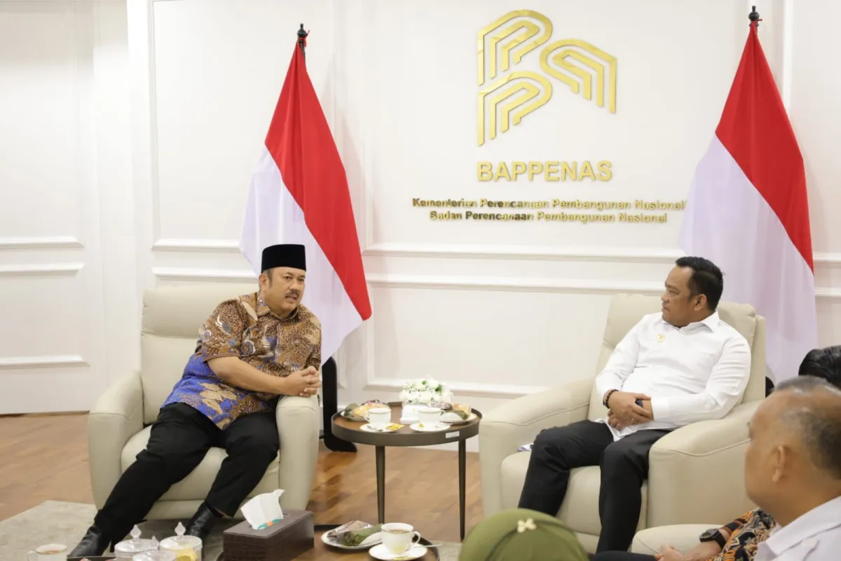 Pemkab Luwu Bahas Pembangunan Rumah Sakit dan Infrastruktur dengan Bappenas