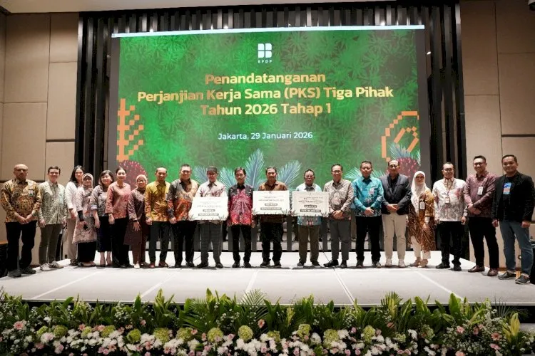 BPDP Targetkan Peremajaan 50.000 Hektare Sawit Rakyat pada 2026